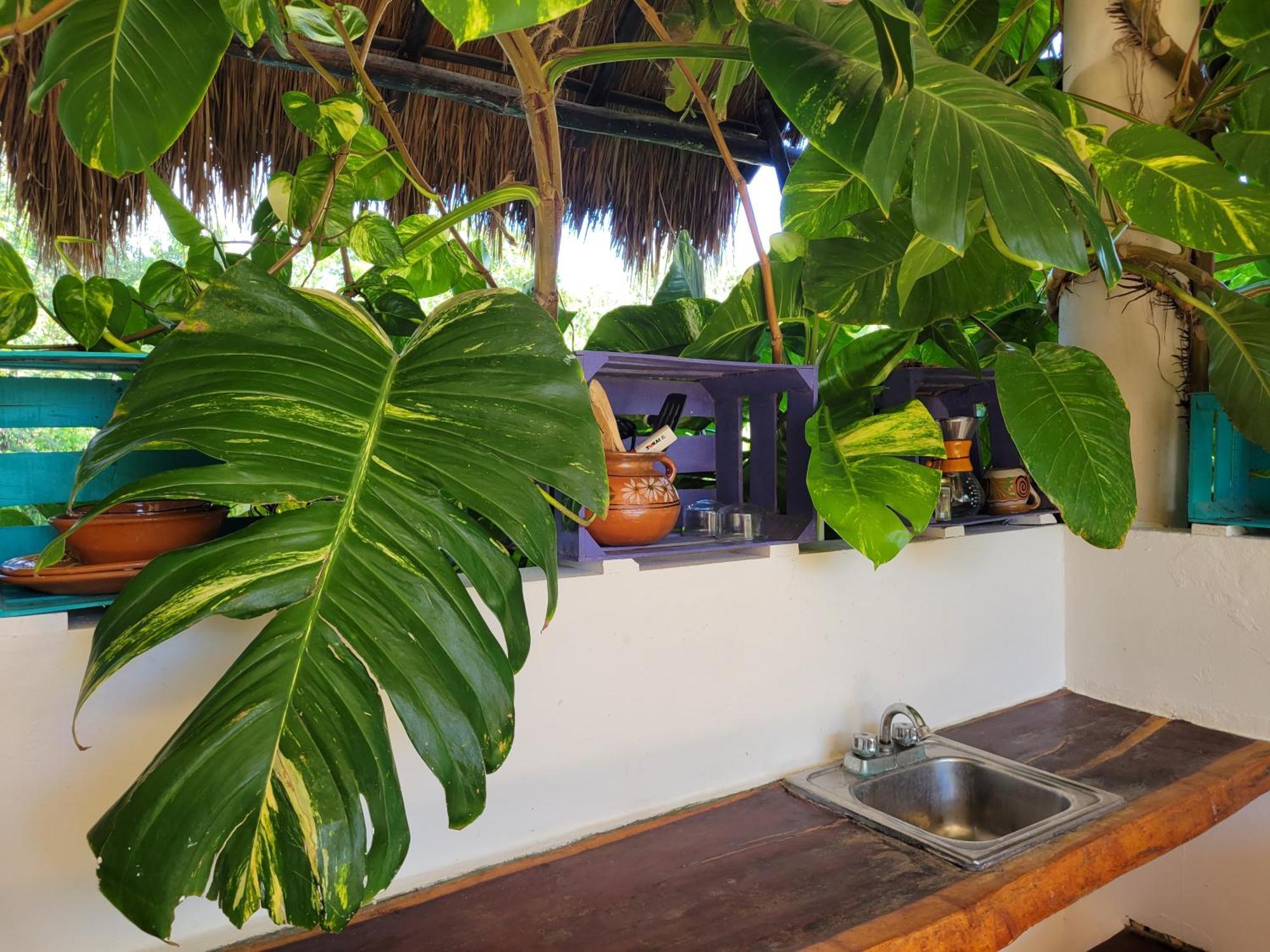 The Secret Garden Tulum Apartment Exterior photo